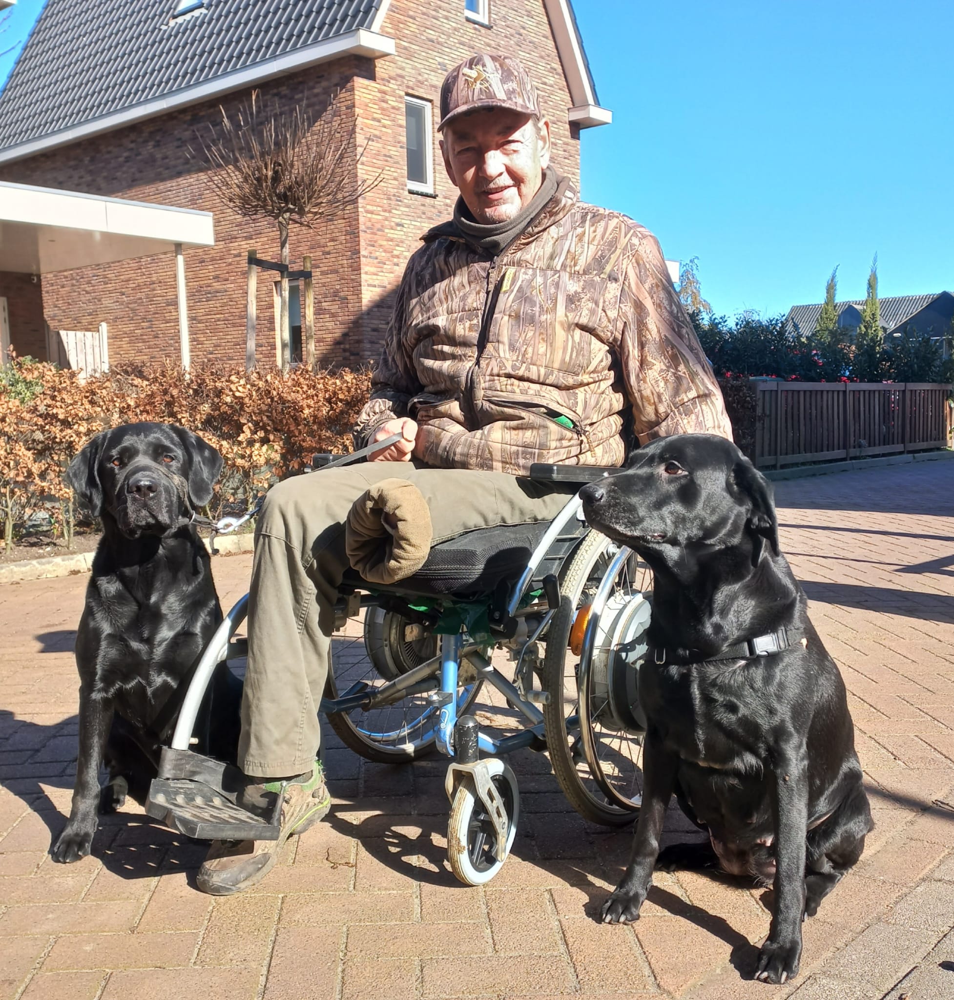 LABRADOR PUPS ENGELSE FIELD TRAIL LIJN