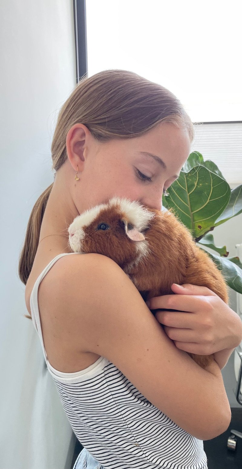 Compleet set met 2 schattige cavia's + hok (Rex, 11mnd oud)